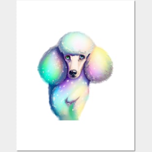 Cute Poodle Drawing Posters and Art